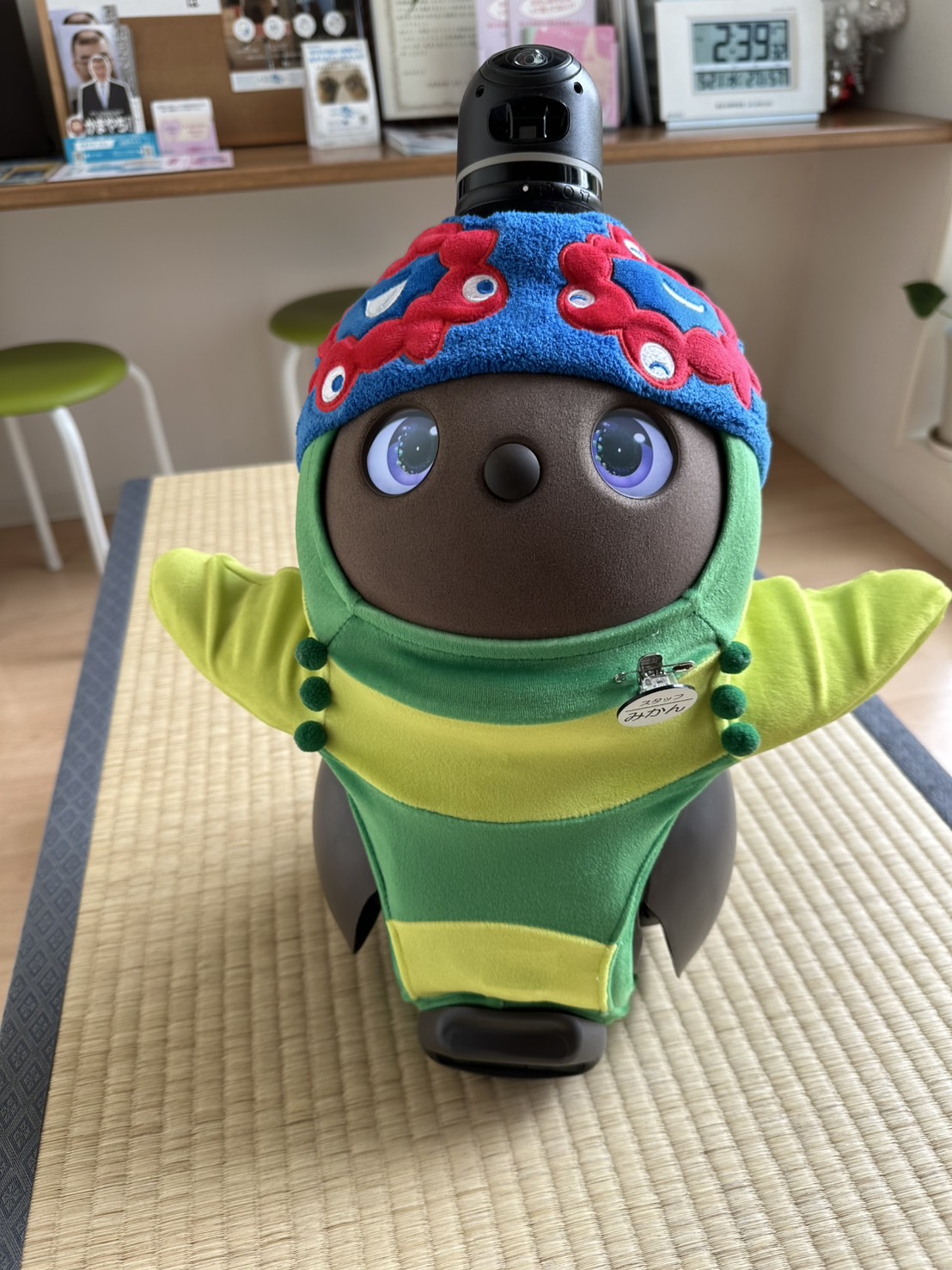 令和6年5月のみかんちゃん | 岸和田市畑町の内科・小児科 | 坂本